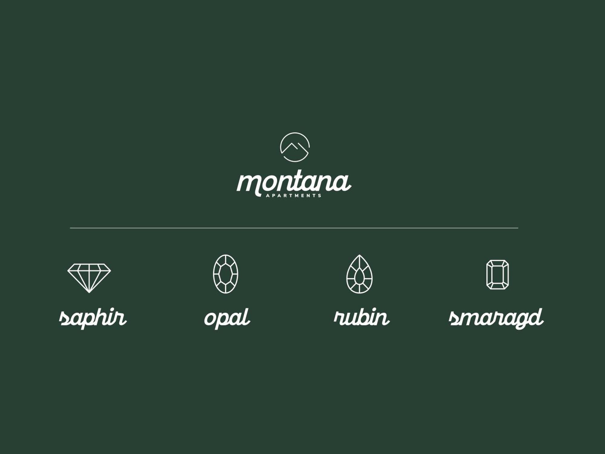 Montana Apartments Майерхофен Екстериор снимка